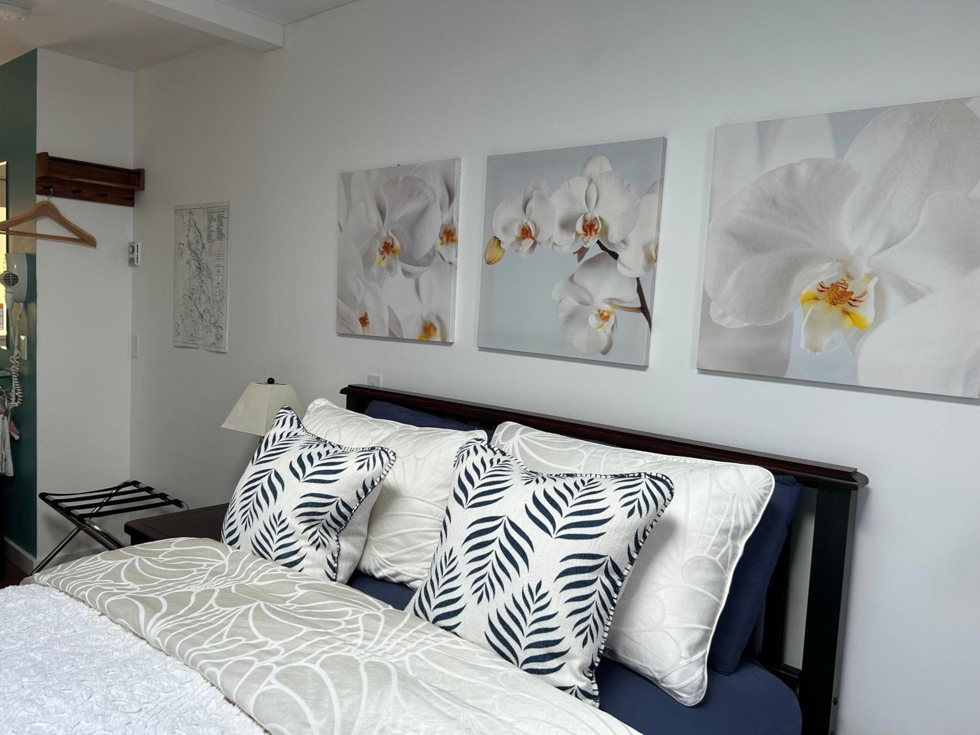 ガンジス Armand Heights Bed & Breakfast エクステリア 写真